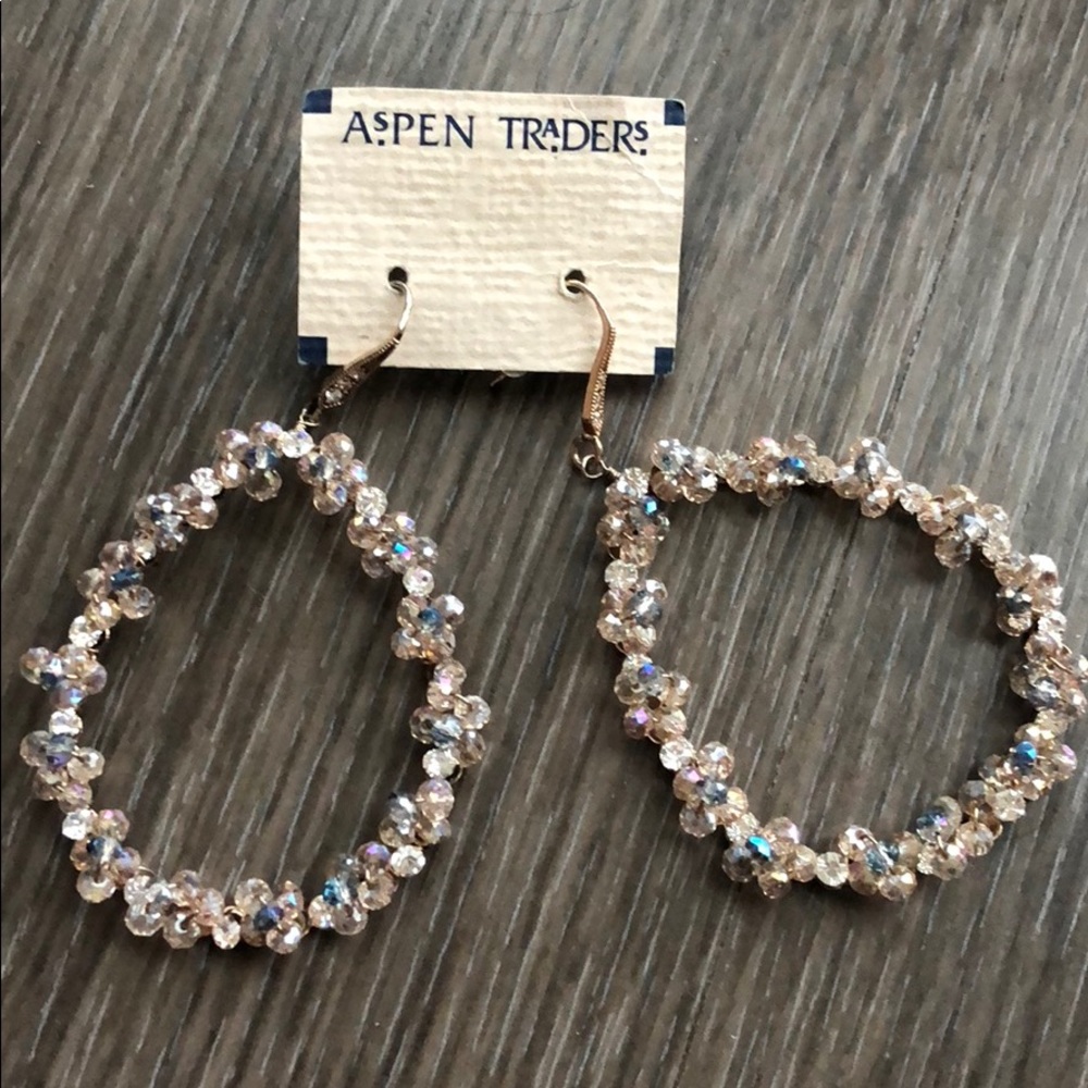 Aspen Trader crystal earrings
